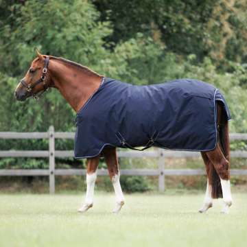 Dominick Paddock Rug 150 g