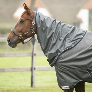 Dominick Hood 600D 150 g