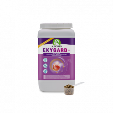 Audevard Ekygard
