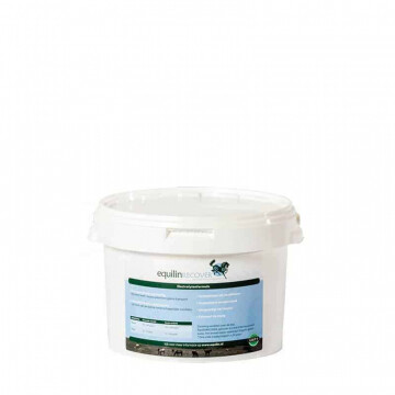 Equilin Recover Electrolytes
