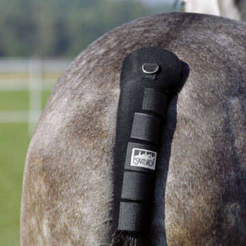 Eskadron Tail Guard
