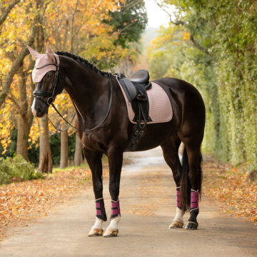 Lemieux Zadeldekje Springen Essence Eurojump Square