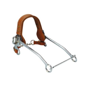 Feeling Hackamore