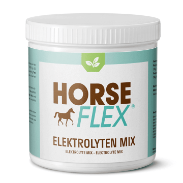 HorseFlex Elektrolyten Mix