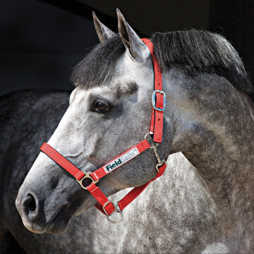 Horseware fieldsafe headcollar