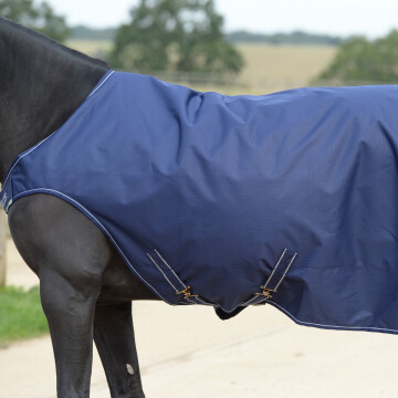 Bucas Walker Rug 