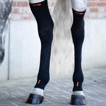 Incrediwear Circulation Hock Sleeves