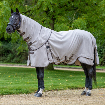 Lemieux Field Rug Kudos