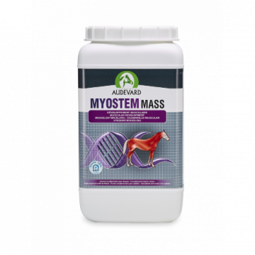 Audevard Myostem Mass 
