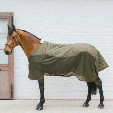 Kentucky Transport Combo Cooler Fleece Pine Green