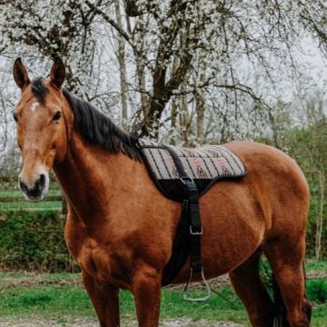 Norton Bareback Riding Mat Kiowa