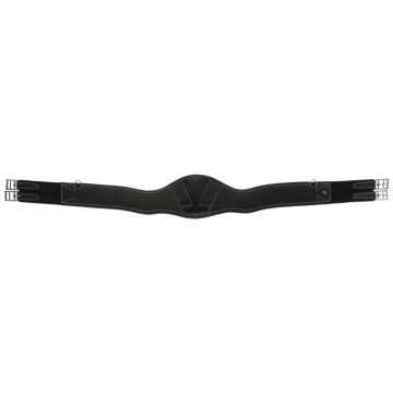 Norton Girth Magnet Anatomical