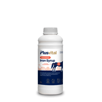 Plusvital Iron Syrup