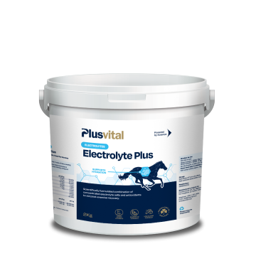 Plusvital Electrolyte Plus Plusvital Electrolyte Plus
