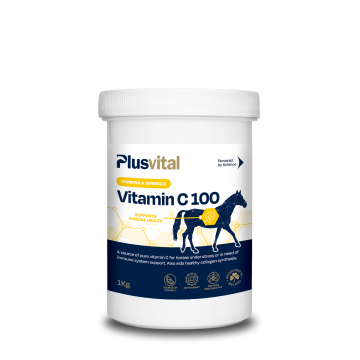 Plusvital Vitamin C 100