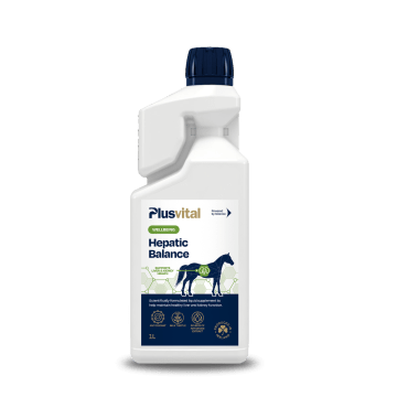 Plusvital Hepatic Balance