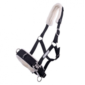 QHP Cavesson Black