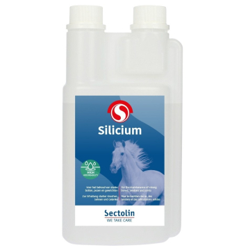 Sectolin Silicium 1000 ml