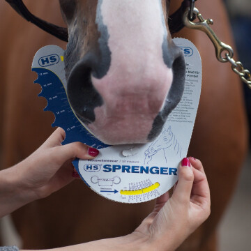 Sprenger bit tool