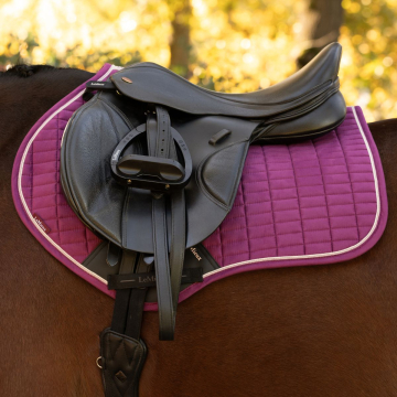 LeMieux Suede Close Contact Square