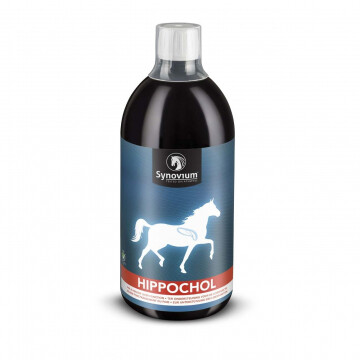 Synovium Hippochol