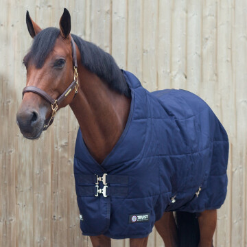 Trust stable rug heavy