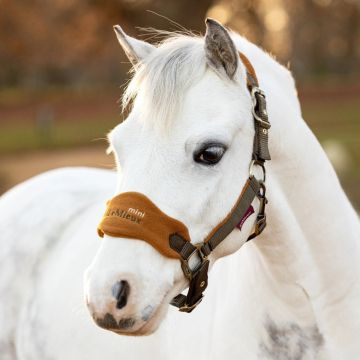 Lemieux Vogue Headcollar & leadrope Mini
