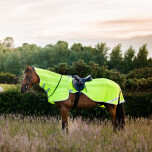 Amigo Flyrider
