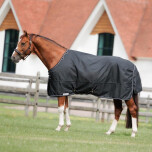 Dominick Outdoor Rug Lite