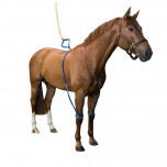 Equine legcooler baseplus 