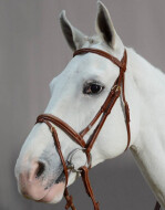 Lj leathers pro selected bridle combined noseband 