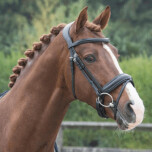 Lj leathers superior bridle