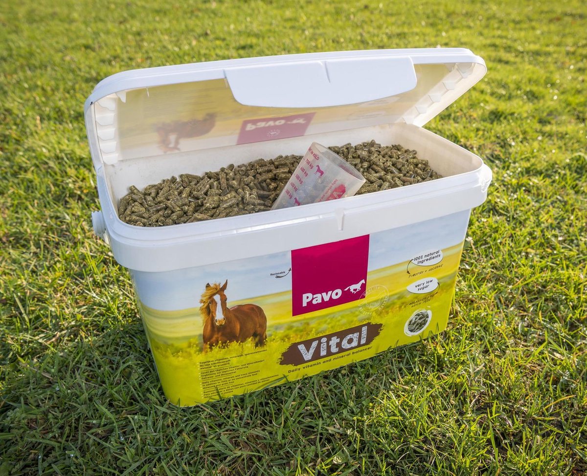 pavo vital paard