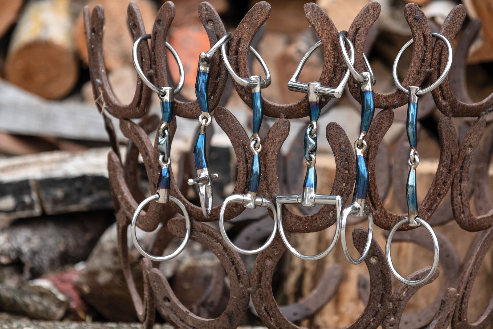 -20% ON TRUST AND ONE EQUESTRIAN!