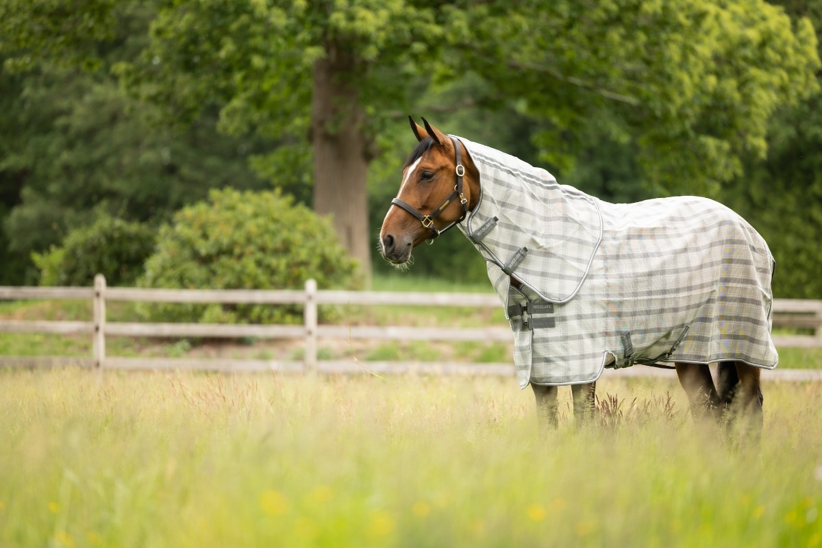 50% OFF