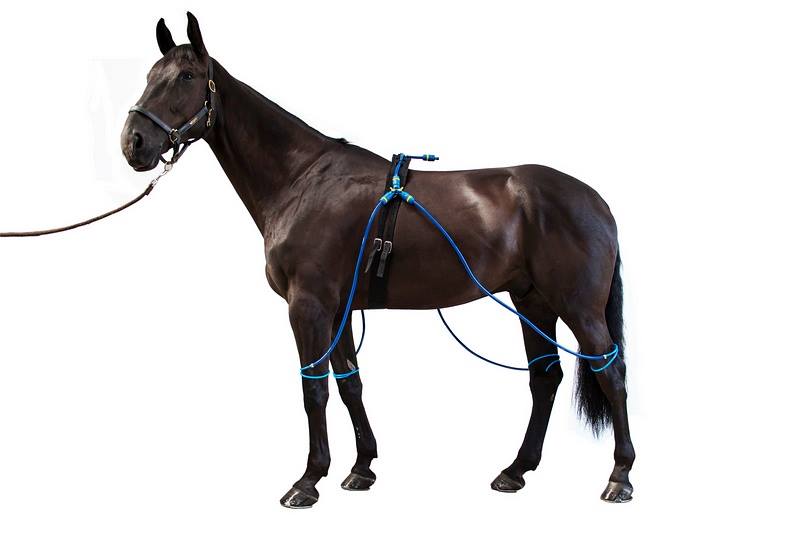 Equine Legcooler Dochorse