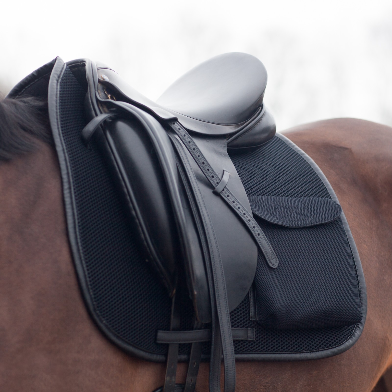 rei saddles