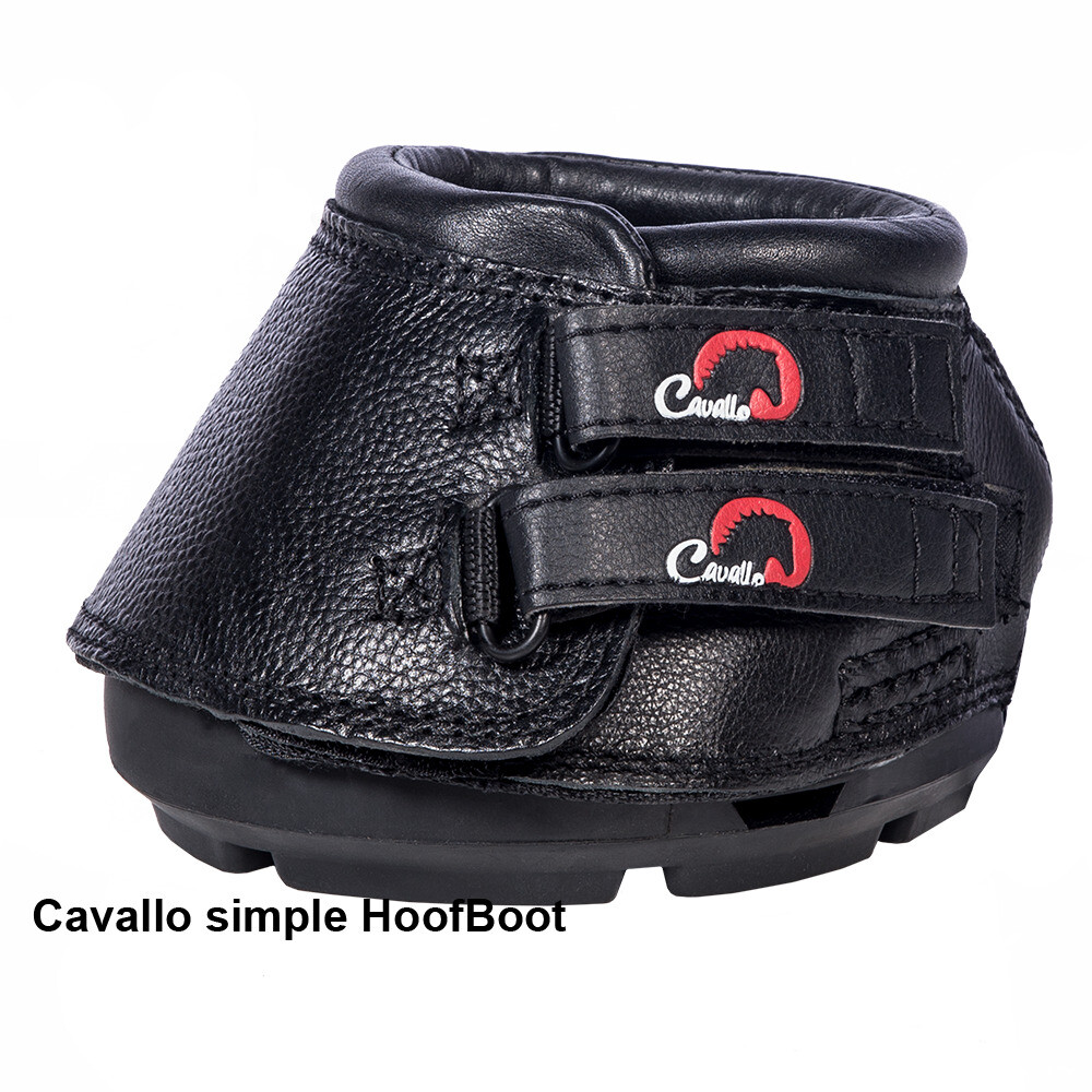 cavallo simple