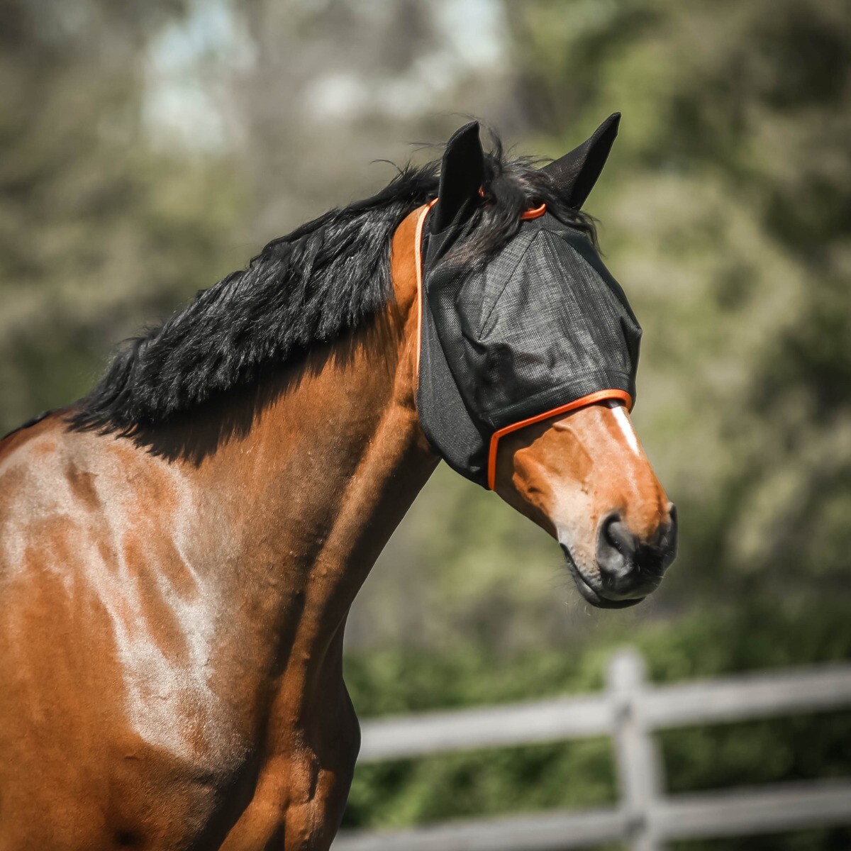 Equilibrium Field Relief Midi Fly Mask Without Ears New Colours For 2019 