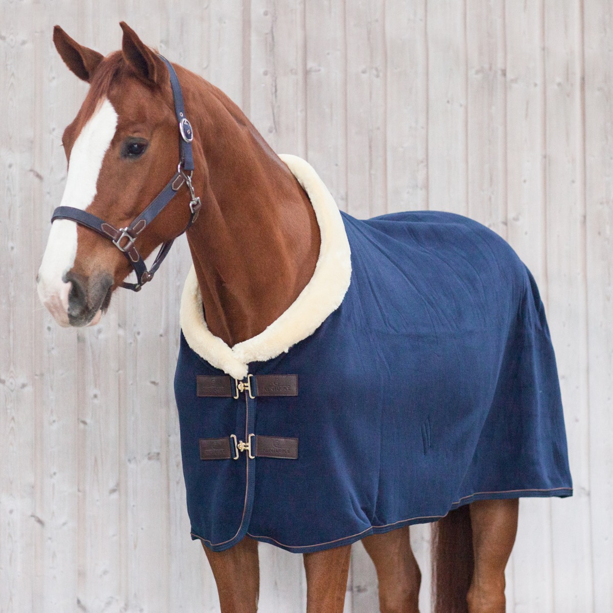 NEW Quality Elite Fleece Show Rug for Horse or Pony All Sizes FREE DELIVERY 