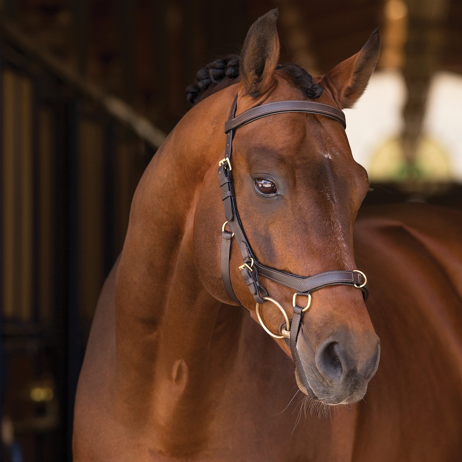 BROWN COLOR Horse Micklem Multibridle bridle Mcklem Horse Bridle size cob