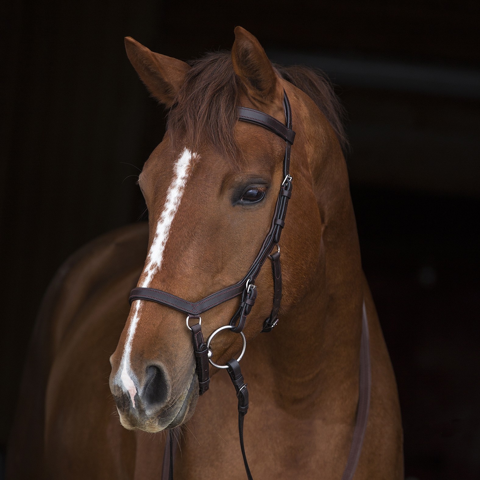 MICKLEM DELUXE LEATHER Competition Bridle Black size full 